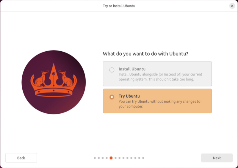 Ubuntu installer with the Try Ubuntu option highlighted